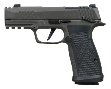 P365, 9MM, 3.1IN, LEGION, GRAY, STRIKER, X-RAY 3, AXG MODULAR GRIP, (3) 10RD STEEL MAG, COMPENSATOR, CA COMPLIANT